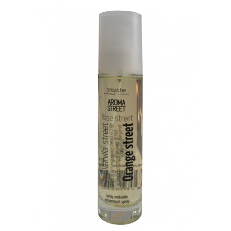 AMBIENTADOR VANILLA STREET 50 ML